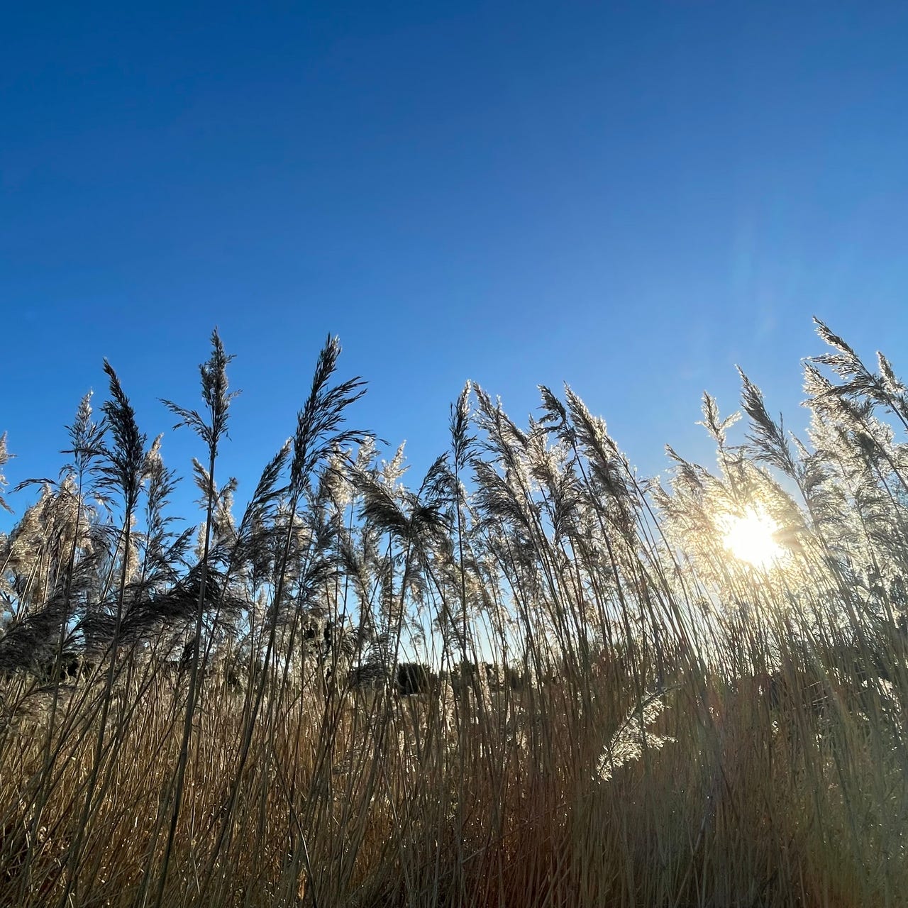 Love to Hate and the Joy we Find