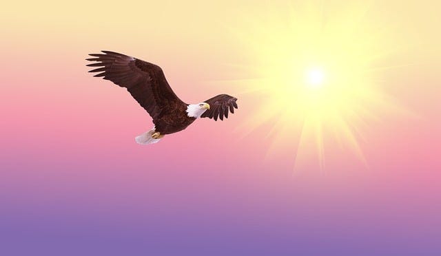 When the Enemy Attacks, Fly Higher - No Longer Lukewarm