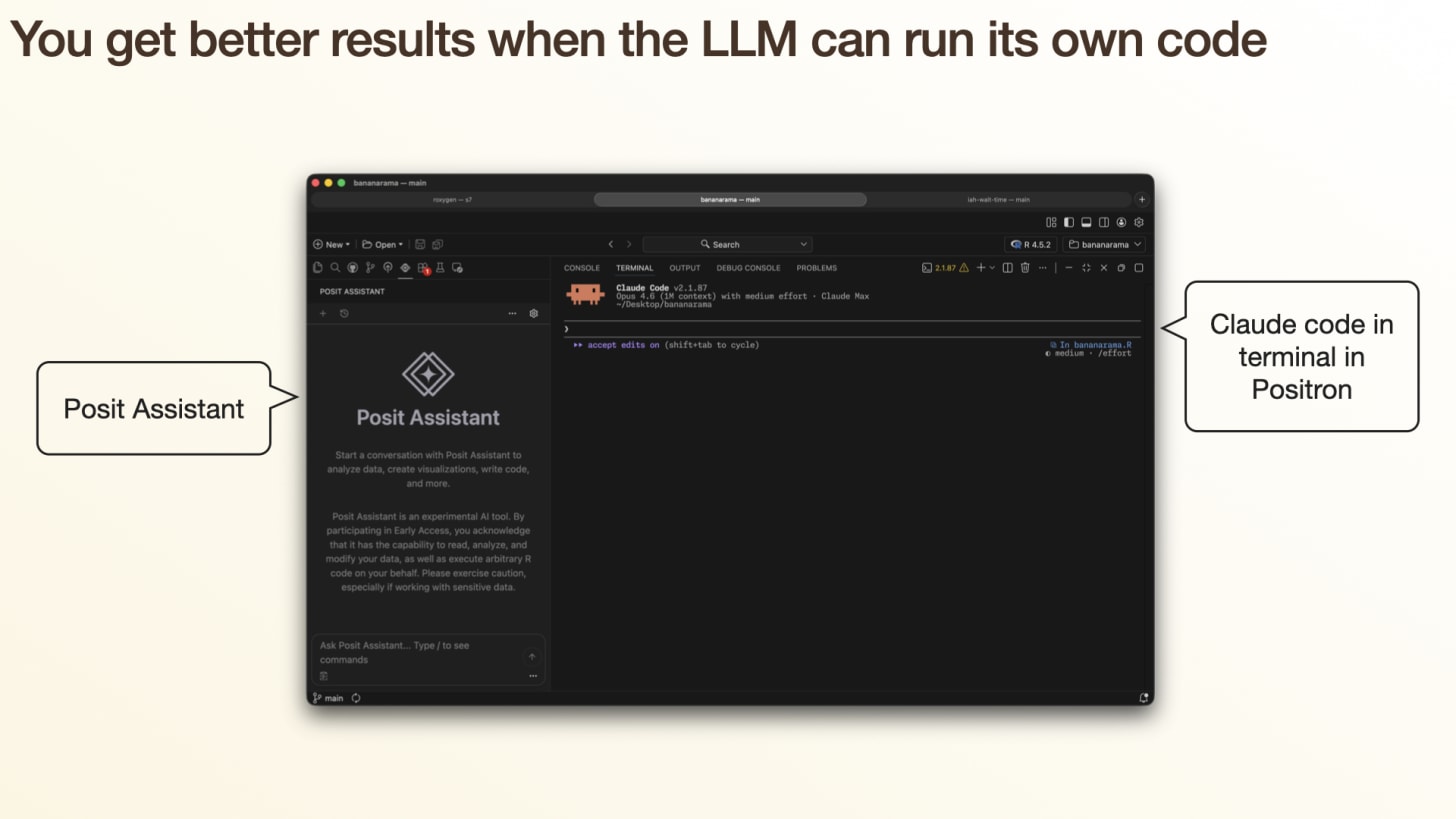 Screenshot slide: "You get better results when the LLM can run its own code" — Posit Assistant alongside Claude Code running in Positron's terminal Screenshot slide: "You get better results when the LLM can run its own code" — Posit Assistant alongside Claude Code running in Positron's terminal