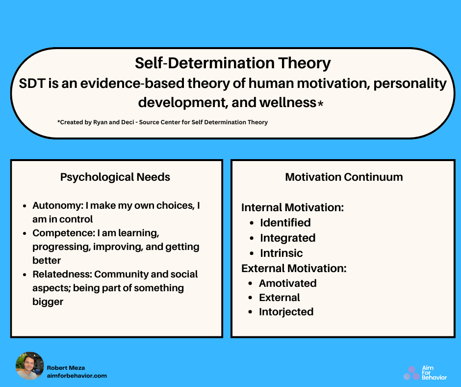 Motivation Design That Works - by Robert Meza