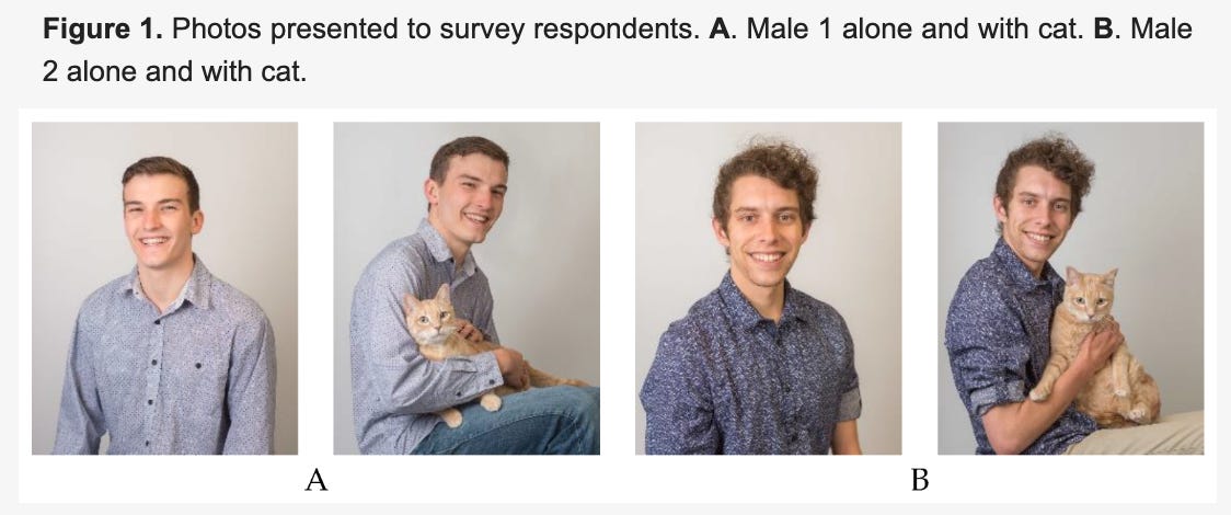 A set of four photos used in a research survey. From left to right:  Male 1 sitting alone, smiling, wearing a light gray patterned button-up shirt.  Male 1 holding an orange tabby cat while seated, smiling.  Male 2 sitting alone, smiling, wearing a dark blue patterned button-up shirt.  Male 2 holding the same orange tabby cat while seated, smiling.  The figure is labeled: A. Male 1 alone and with cat. B. Male 2 alone and with cat.
