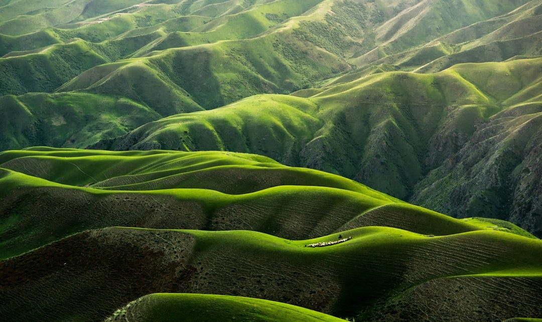 bird's eye view photograph of green mountains bird's eye view photograph of green mountains