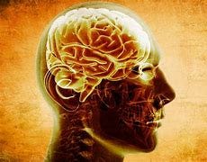 Image result for brain zero point senses energy information