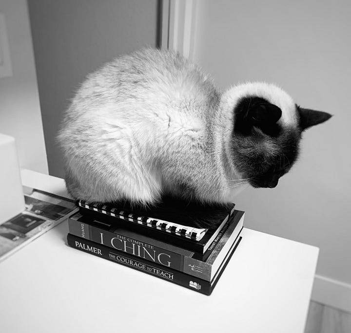 Two black-and-white photos of LingXu, a Siamese cat, sitting atop a stack of books, including The Complete I Ching.