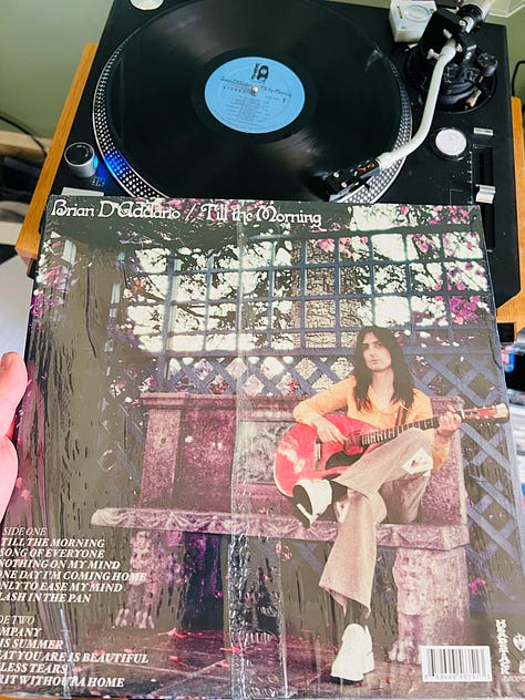REVIEW: Brian D'Addario—Till The Morning (2025)