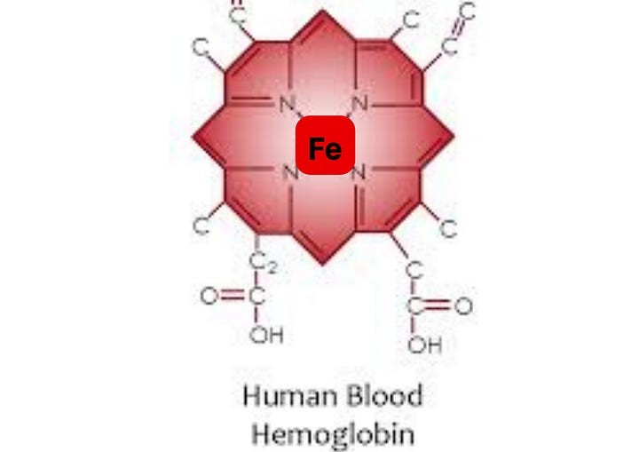cytochrome c oxidase and heme