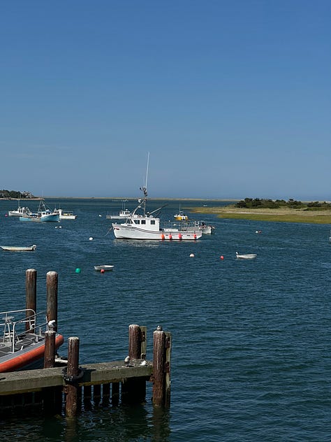 Chatham Pier Fish Market - Chatham, MA