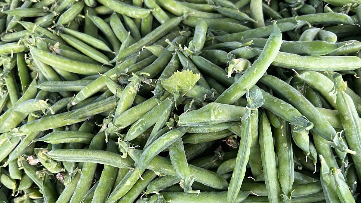 Issue #106: Spring Pea Soup - by Mitchell Davis