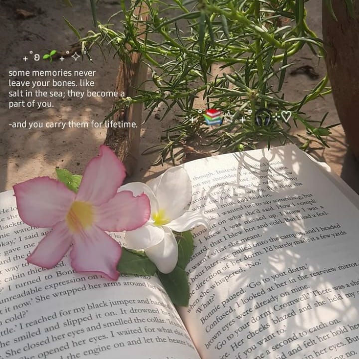 ''Pink Hour Diaries''