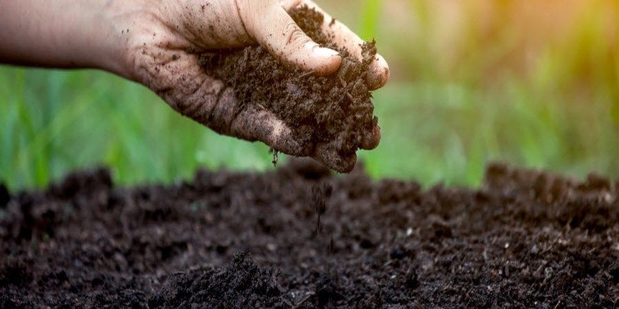 How to Create Healthy Soil | Milorganite