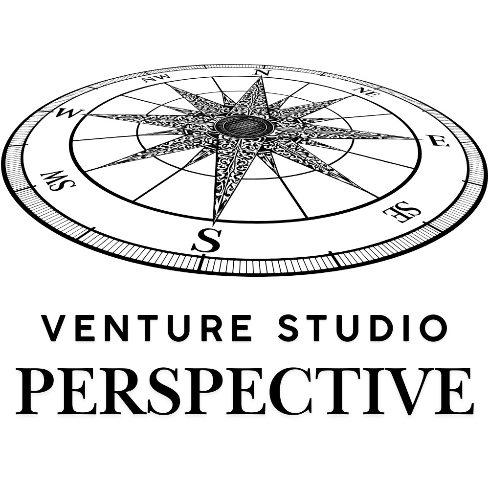 Venture Studio Perspective