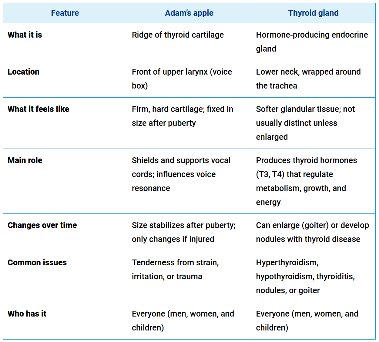 adams apple vs thyroid gland