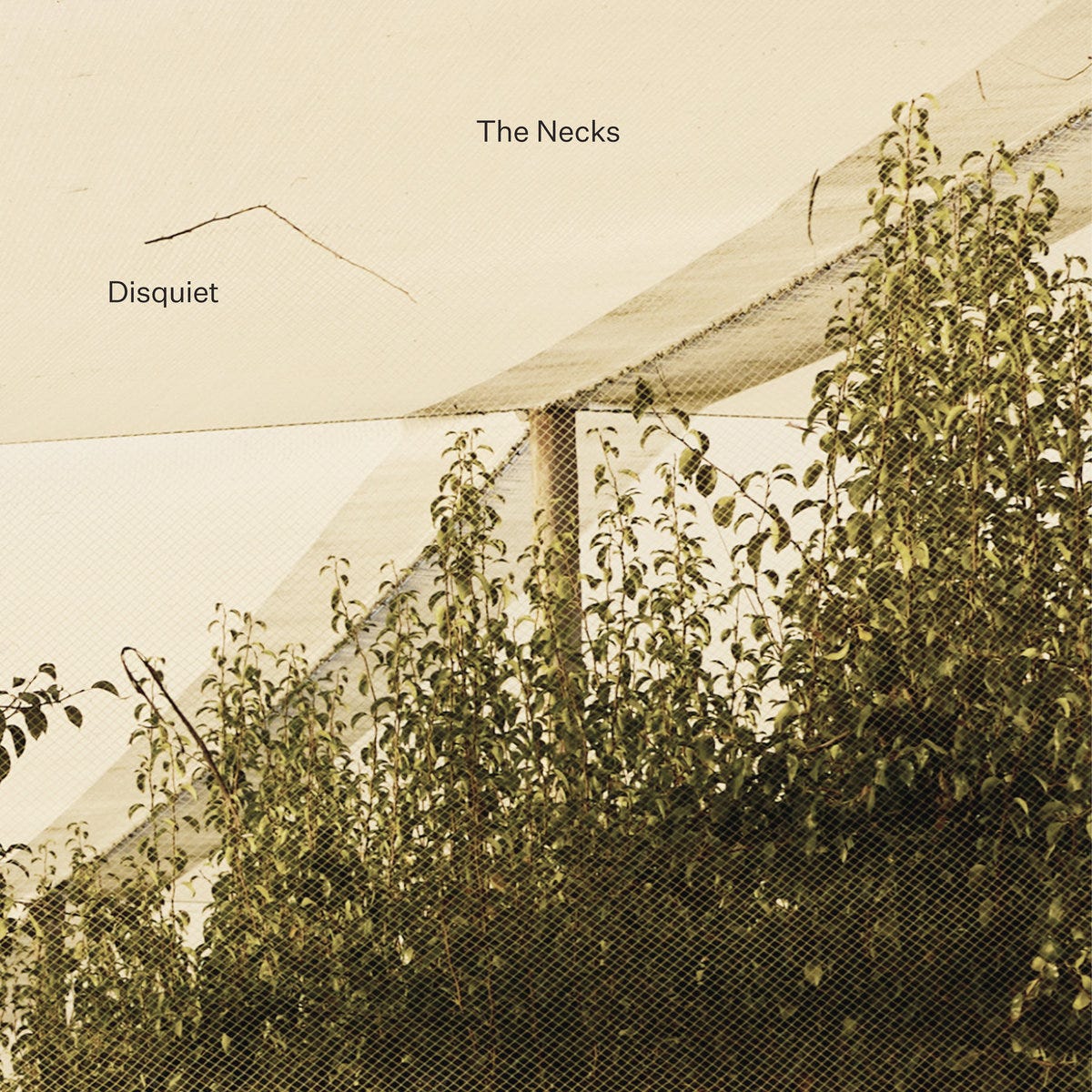 Disquiet | The Necks Disquiet | The Necks