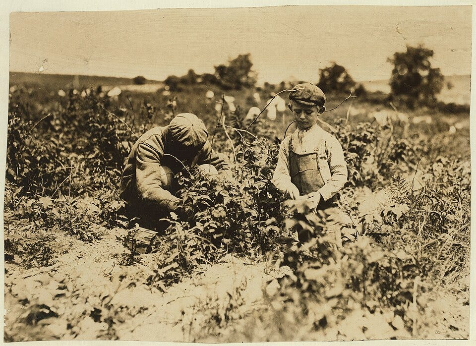 File:Johnnie Goldberg and father on a Rock Creek farm. Boy worked at Young Island, S.C. one winter. July 7, 1909. LOC nclc.00014.jpg