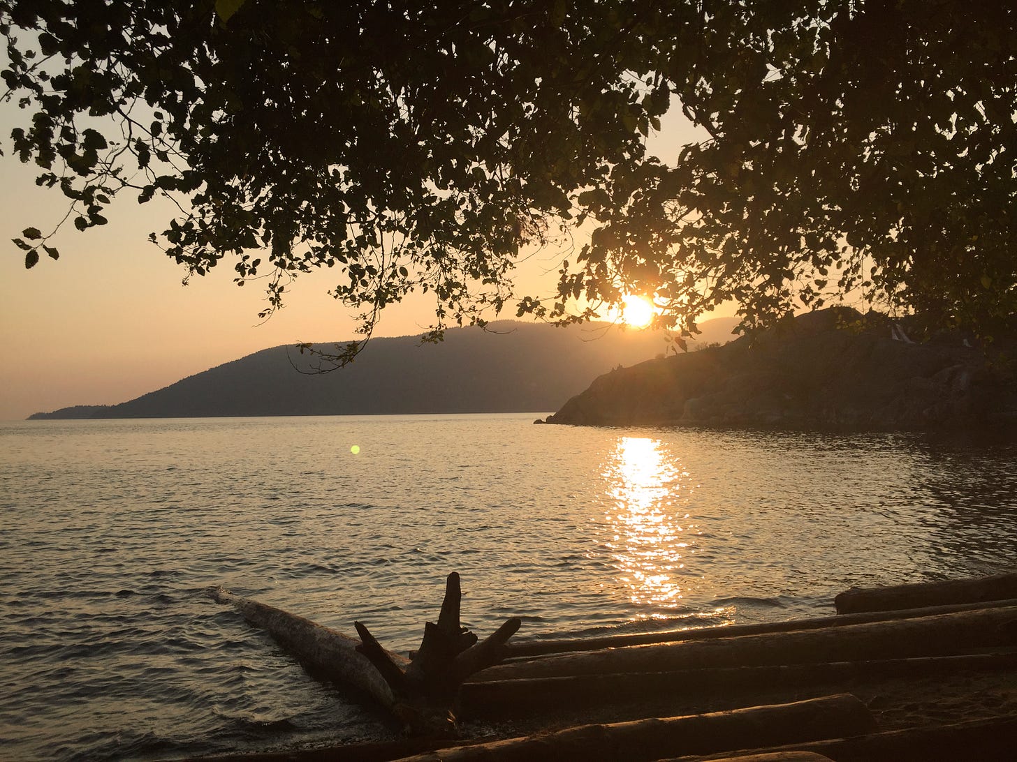 A view of the ocean at sunset. In the foreground are several logs of various shapes, and the water ripples gently behind them. In the background is the edge of a cliff, and the mountain of Bowen Island, behind which the sun sets. Tree leaves drape over the top of the frame.