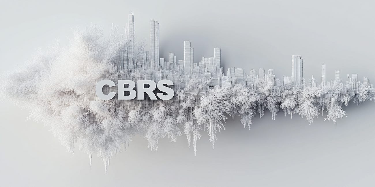 Cerebras Systems CBRS Outlook for 2025 in AI Hardware Innovation
