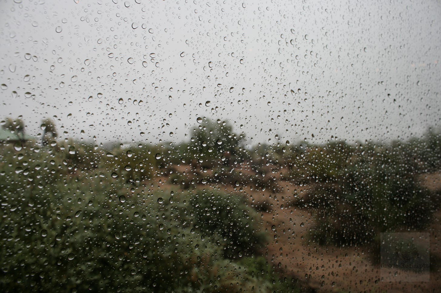 Rain drops in focus on a window with a cloudy desert in the background.