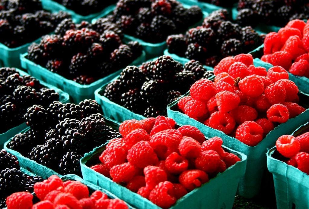 page12image269490688