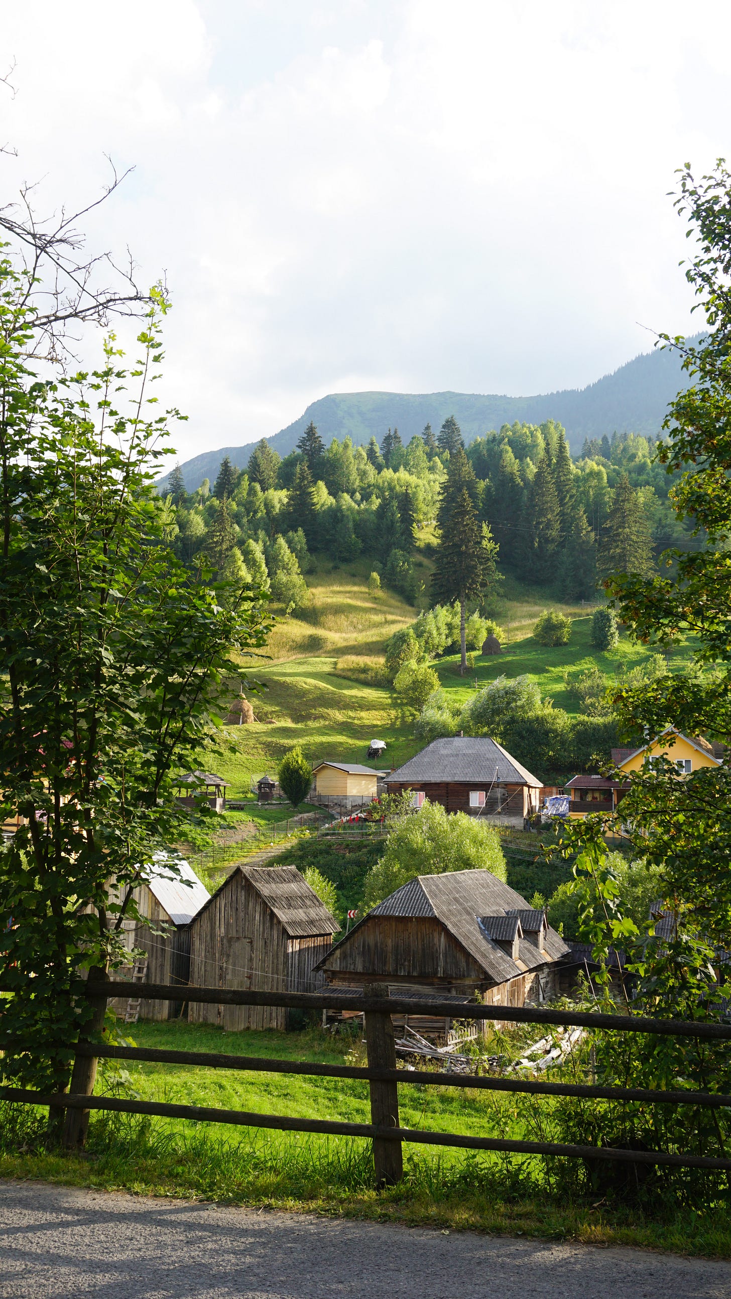 paesaggio della romania con boschi, montagne, prati e case di legno paesaggio della romania con boschi, montagne, prati e case di legno