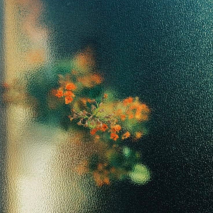 notes from the liminal years