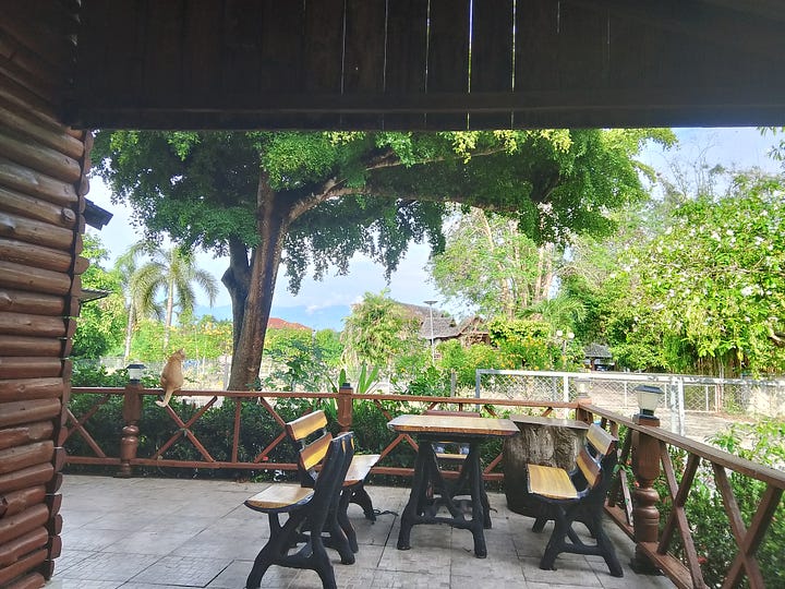 Outdoor writing space in northern Thailand with Tucker the cat perched on a porch railing overlooking lush tropical greenery and mountains.
