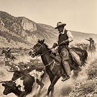 You ain’t no cowboy, son