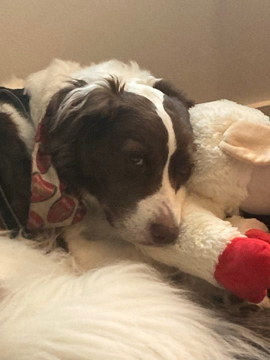 Open photo Open photo