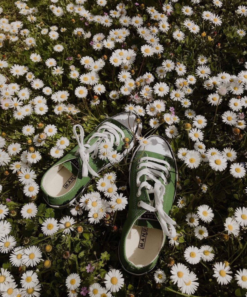 Summer Soul Food, green sneakers in a field of daisies