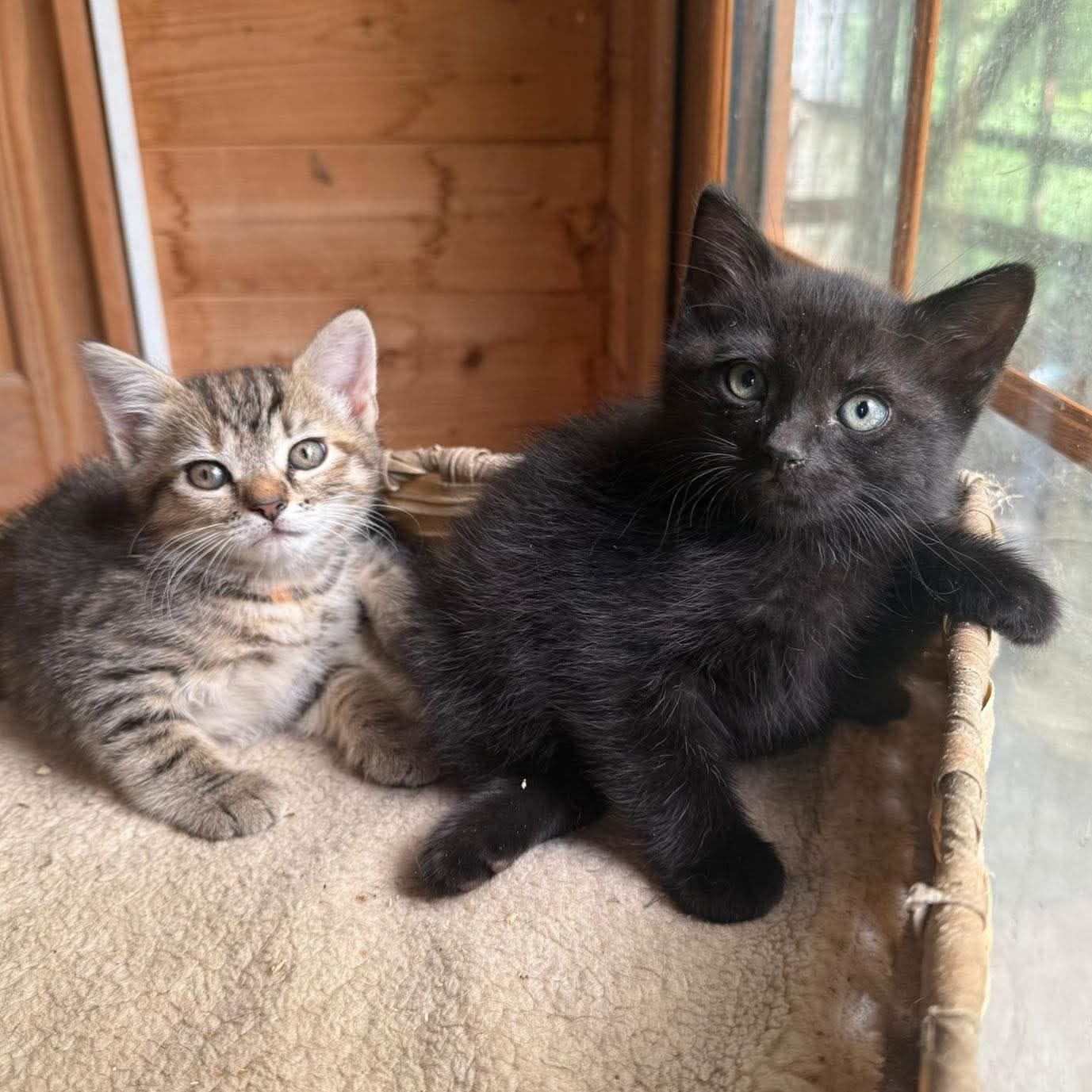 No photo description available.