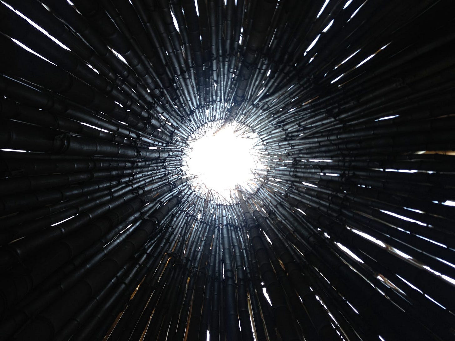 A photo from inside an art installation made of long black stems of bamboo arranged in a circle. The photo is taken from the ground looking up through the circle opening at the top and into a bright, white, overcast sky. Several small gaps between the stems are creating the effect of small lines of white light pointing into the centre white circle. A photo from inside an art installation made of long black stems of bamboo arranged in a circle. The photo is taken from the ground looking up through the circle opening at the top and into a bright, white, overcast sky. Several small gaps between the stems are creating the effect of small lines of white light pointing into the centre white circle.