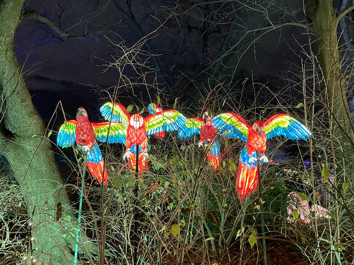 Holiday Lights at the Bronx Zio