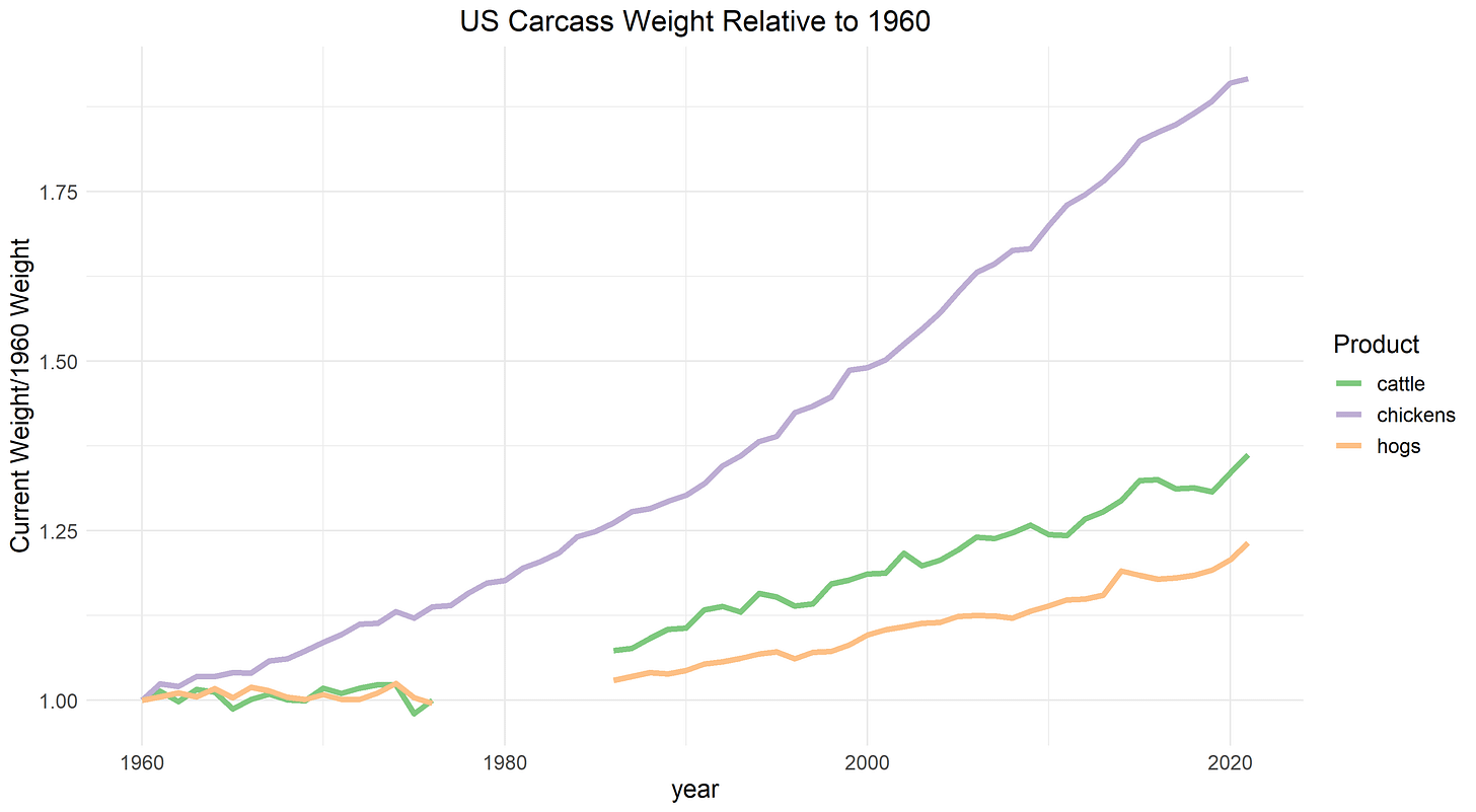 Animal slaughter weight