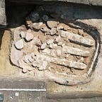Anthropology.net
