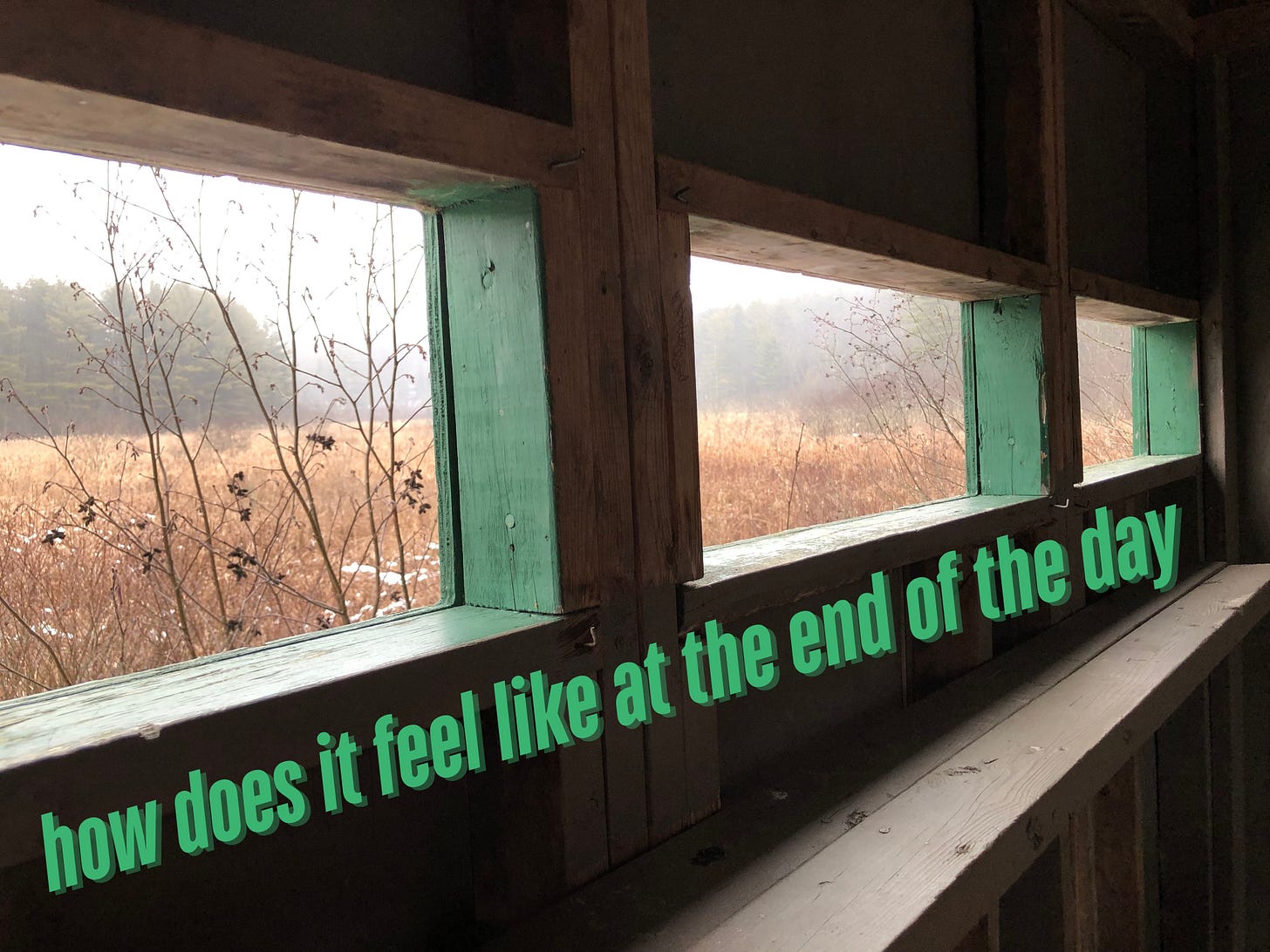 photo from inside a wildlife blind, looking out onto a winter marsh photo from inside a wildlife blind, looking out onto a winter marsh