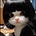 smallyu's avatar