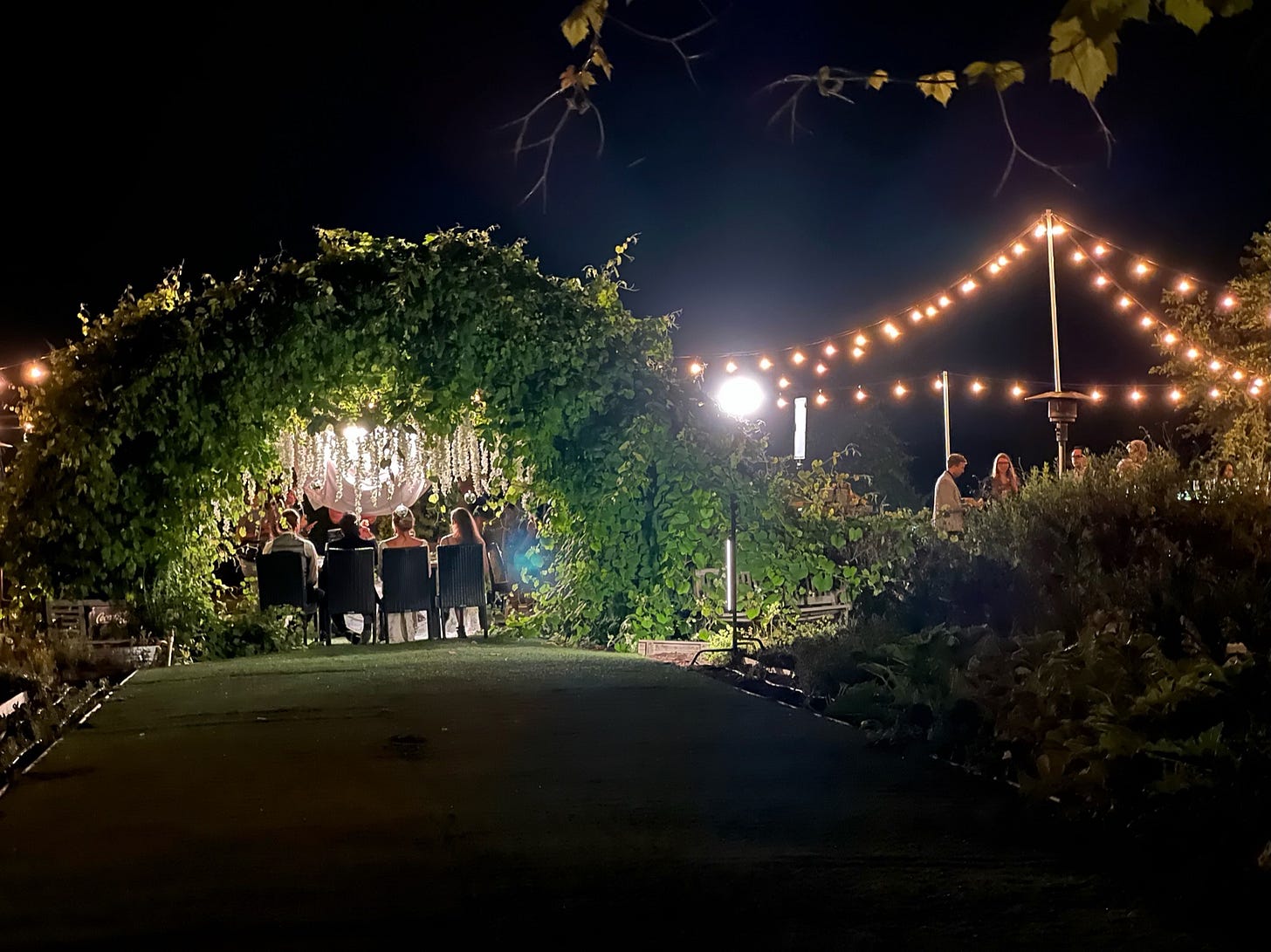 Behind the scenes shot of The Not with a wedding reception backlit by lights.