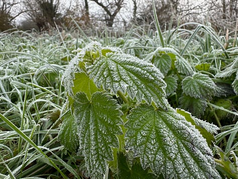 Scenes of winter frost and chilly, misty air along Oxford cycle paths.
