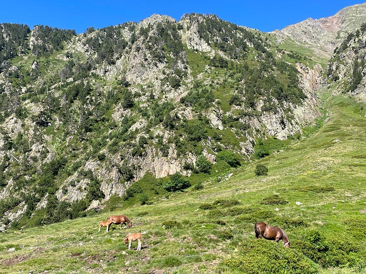 Descending and to the next climb