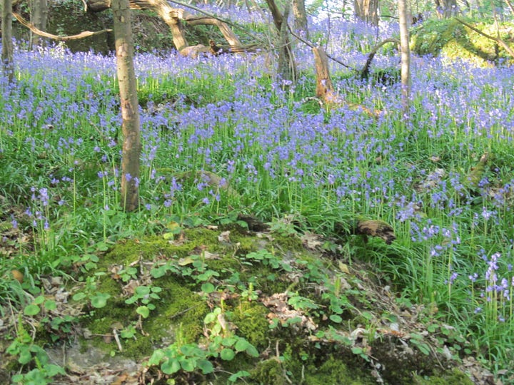 From Murder Between the Tides: