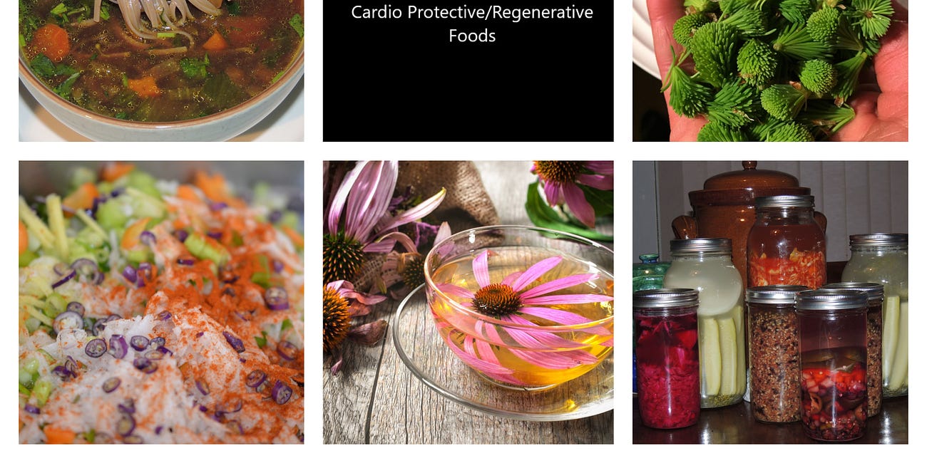 Spike Protein Detox Intel and foods/herbs with Cardio-Protective and perhaps Cardio-Regenerative Potential