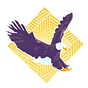Medallion XLN’s Newsletter