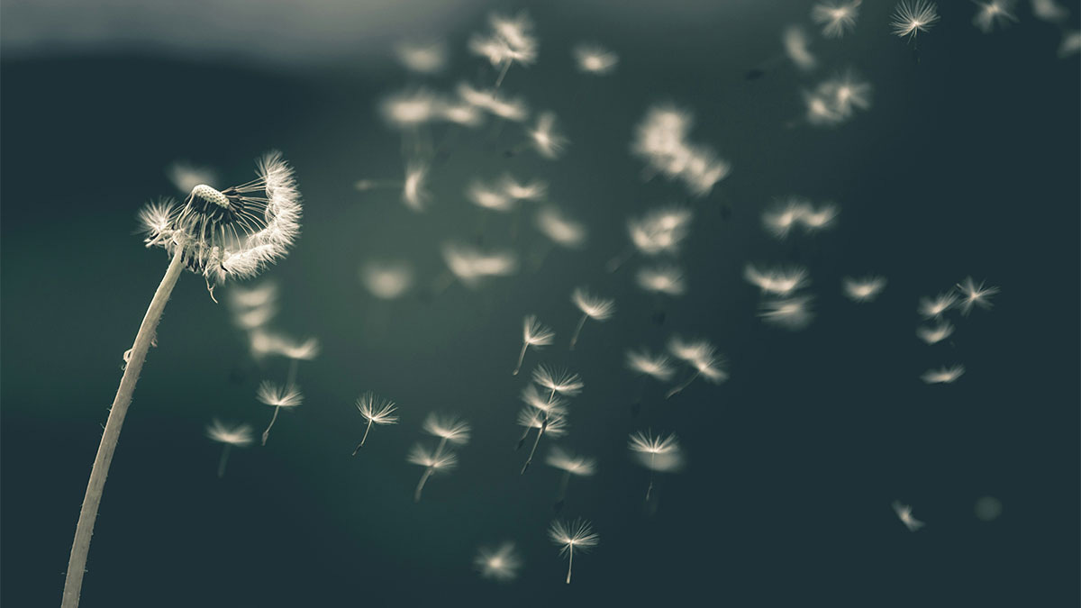 What is Impermanence, or Anicca? | Buddhism A–Z
