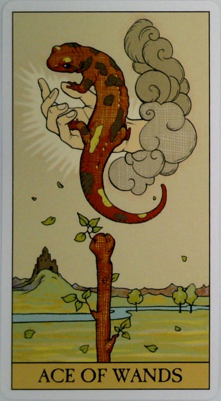 The Ace of Wands tarot card and the Become Your Own Priority oracle card.