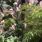 Where in the World, and Why?