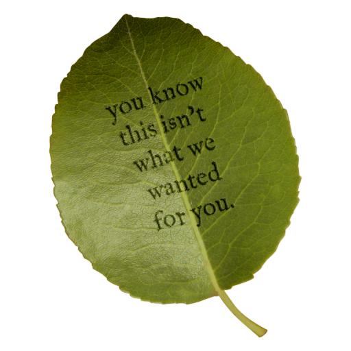 what cannot be said will be wept logo
