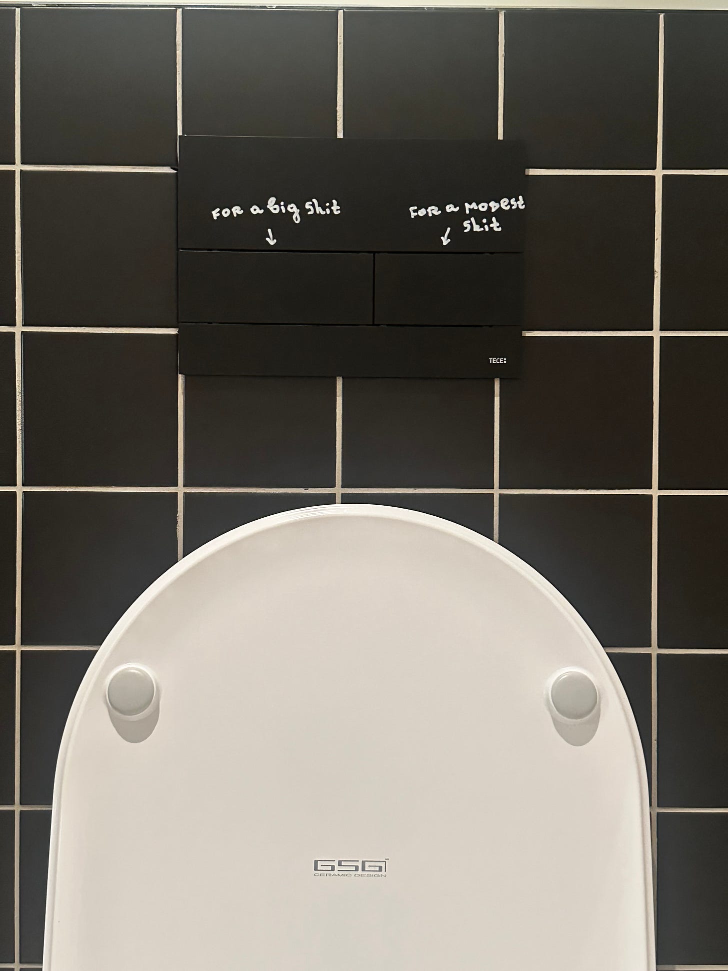 A bathroom flush panel in Bulgaria with handwritten labels: “For a big shit” on the large button and “For a modest shit” on the small button