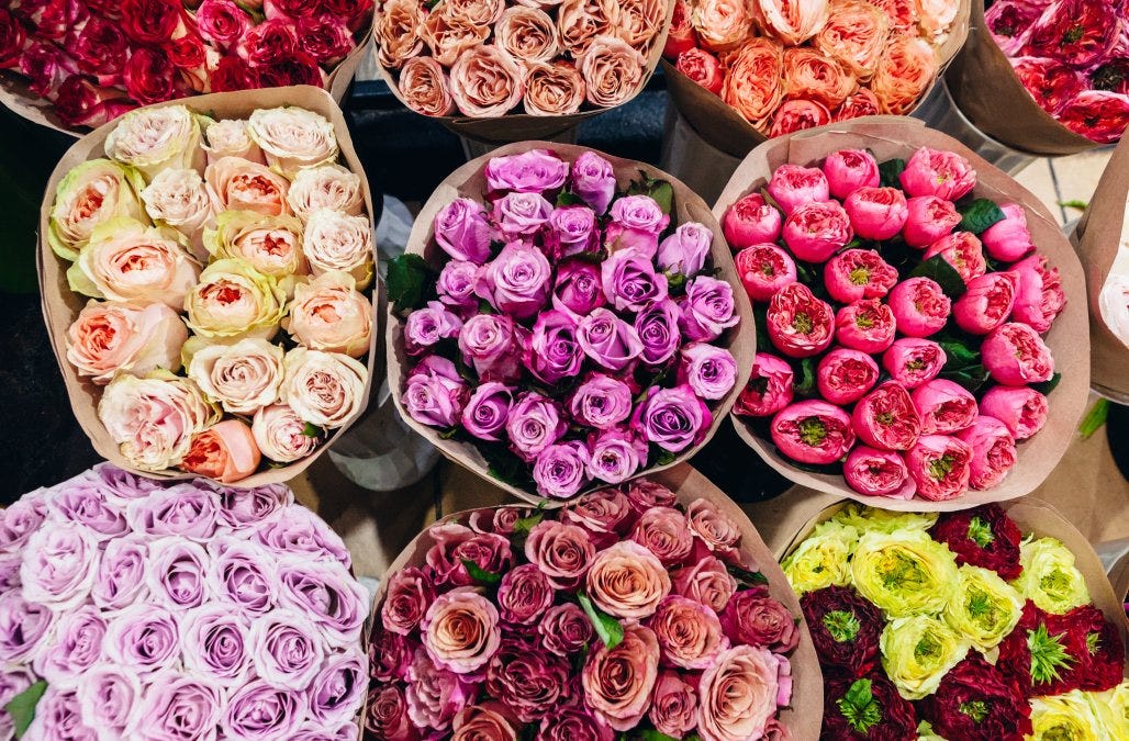 stunning glowers for mothers day stunning glowers for mothers day