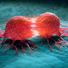 Are Vaccines Triggering Cancers? Tinkering with Immune Privileged Highly Replicative Cells is Cause for Concern.