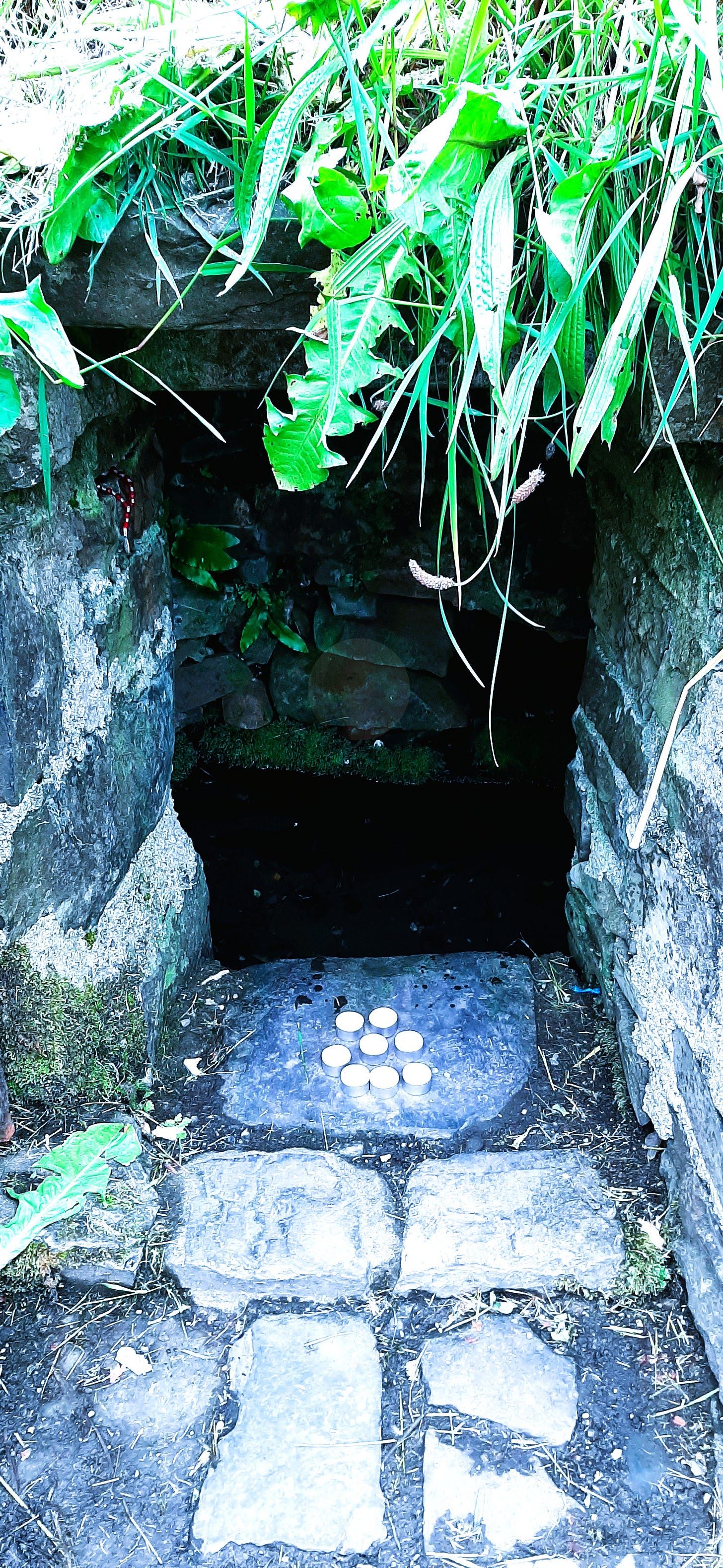 Hill of Tara Ireland - The Creatrix Experience ©2025 Elizabeth des Roches