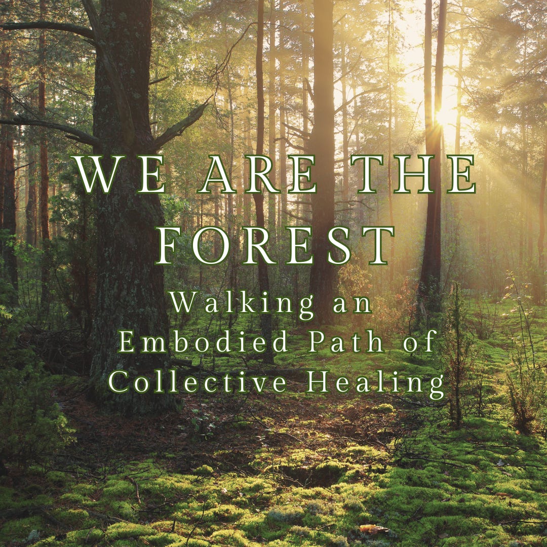 We Are The Forest logo